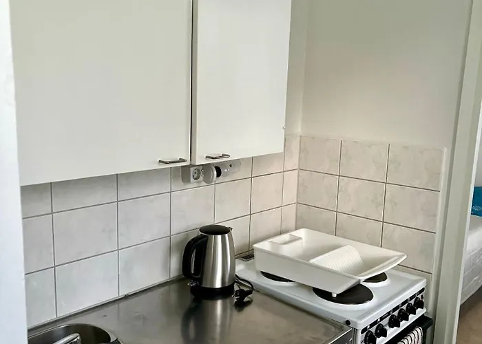 Charming With Sauna Department Free Parking *