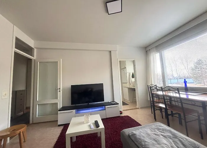 Charming With Sauna Department Free Parking *